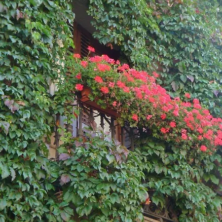 Hotell Casa Frauca Sarvisé