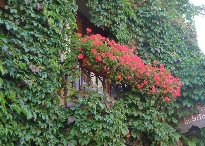 호텔 Casa Frauca Sarvisé